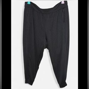 DSG Relaxed Fit Gray Joggers Women’s Size XL